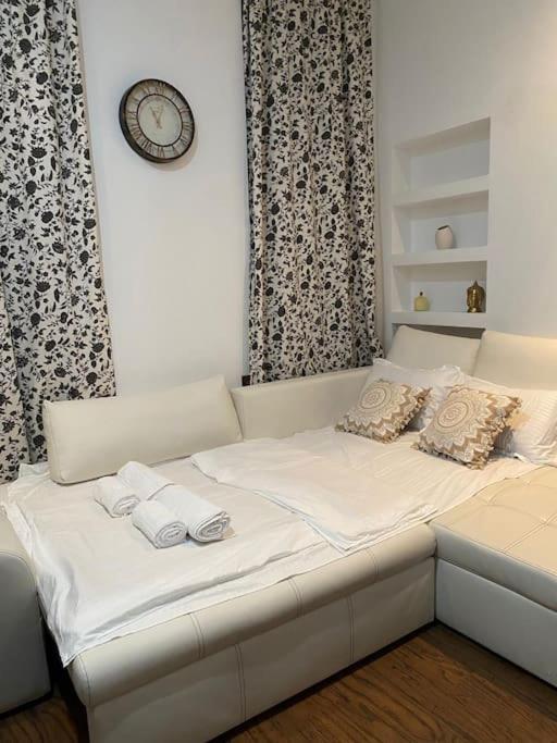 Harmony Homes- Piata Unirii Central Apartament Timisoara Esterno foto