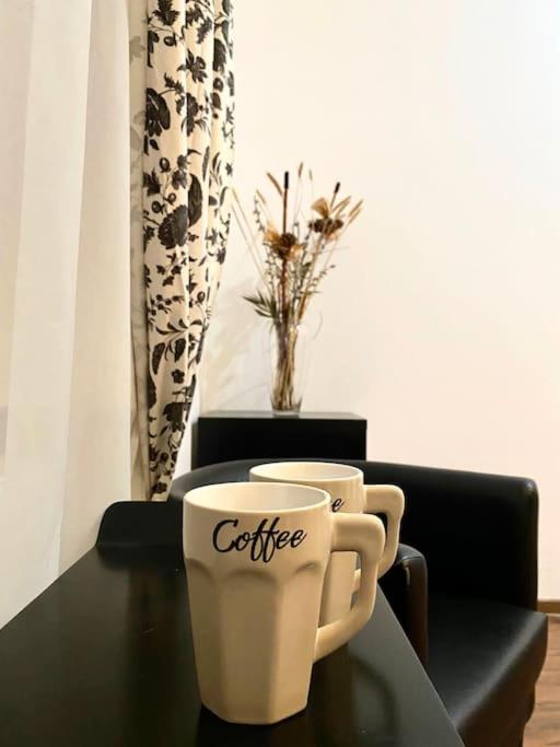 Harmony Homes- Piata Unirii Central Apartament Timisoara Esterno foto