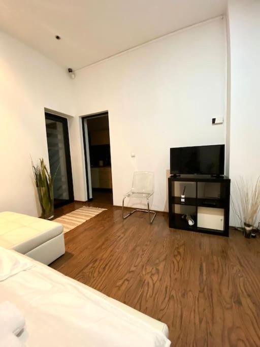 Harmony Homes- Piata Unirii Central Apartament Timisoara Esterno foto
