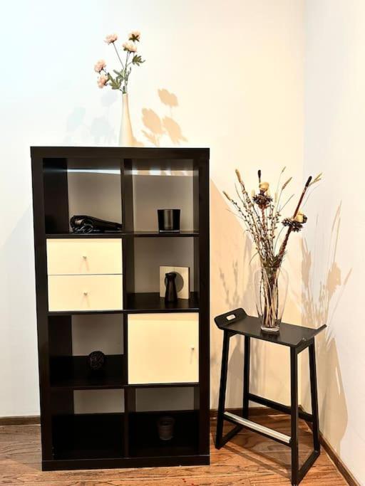 Harmony Homes- Piata Unirii Central Apartament Timisoara Esterno foto