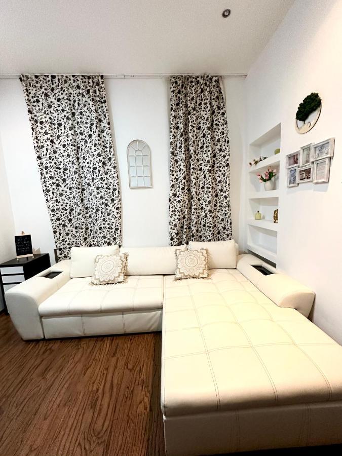 Harmony Homes- Piata Unirii Central Apartament Timisoara Esterno foto