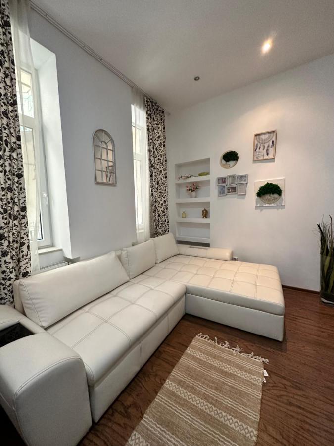 Harmony Homes- Piata Unirii Central Apartament Timisoara Esterno foto
