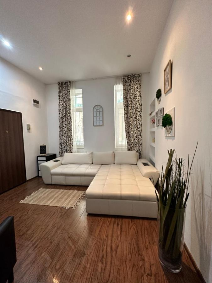 Harmony Homes- Piata Unirii Central Apartament Timisoara Esterno foto