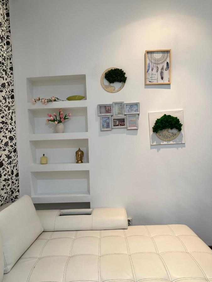 Harmony Homes- Piata Unirii Central Apartament Timisoara Esterno foto